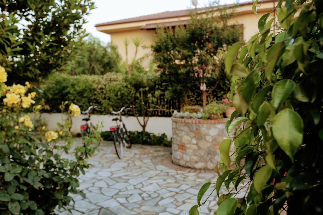 סקליאה Zama Bed&Breakfast מראה חיצוני תמונה